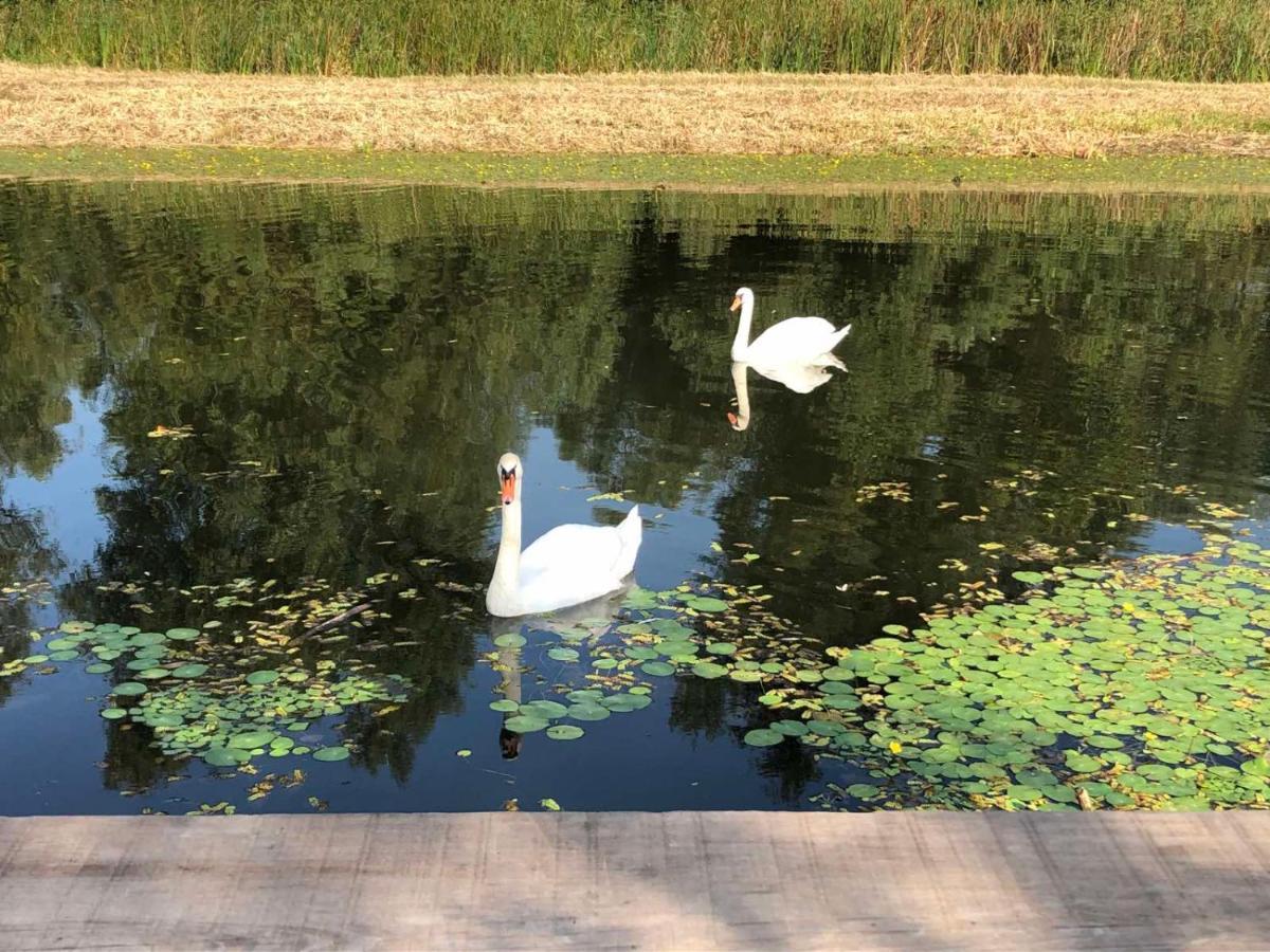 Вилла Kuca Za Odmor Guska Kopacevo Экстерьер фото